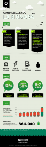 ComprendiendoLaBiomasa-infografia_biomasa